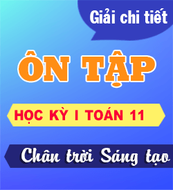 Ôn tập Học kỳ 1 (KNTT_T11)